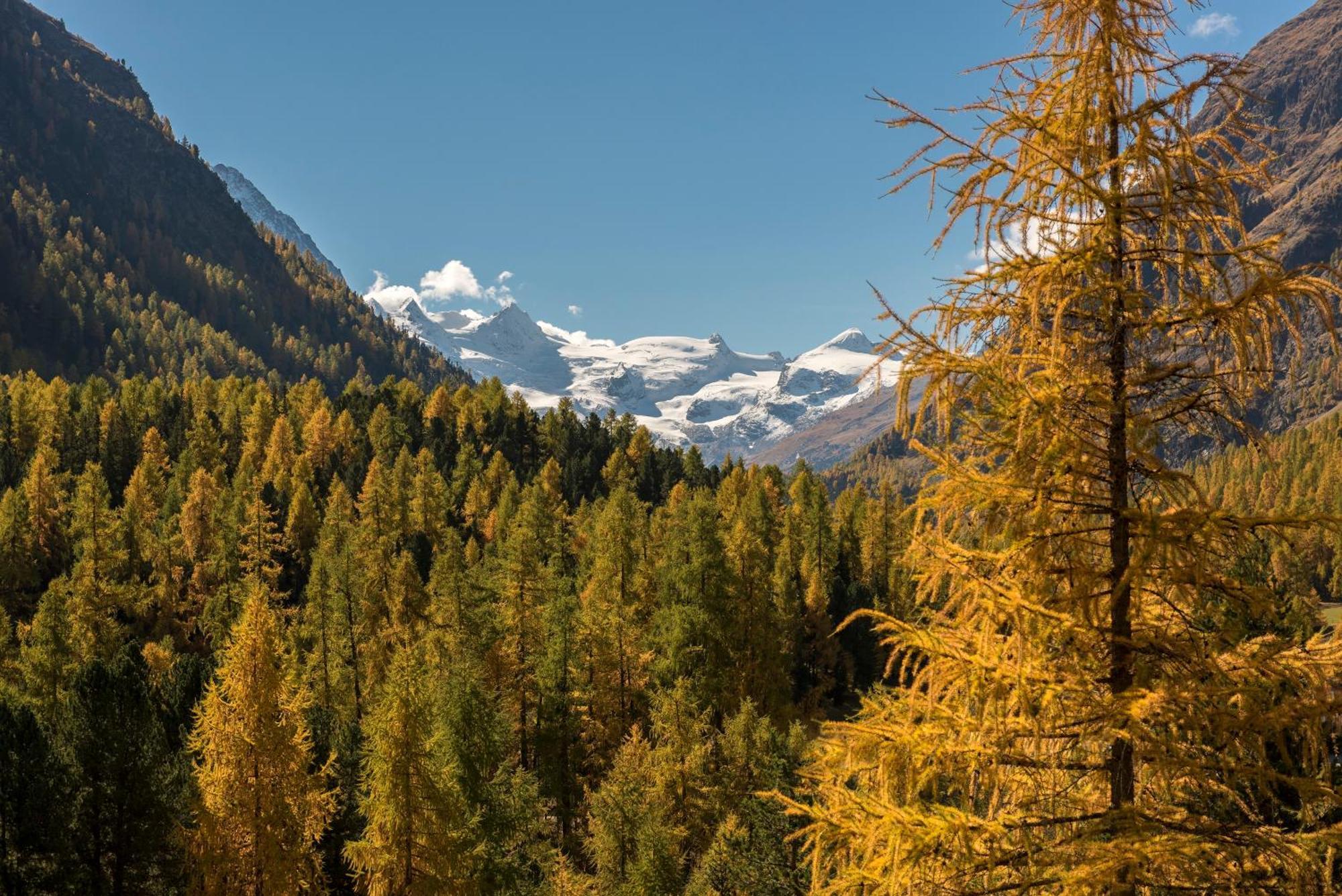 Hotel Saratz Pontresina Luaran gambar